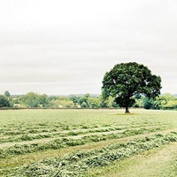 Shooting a Panoramic Image