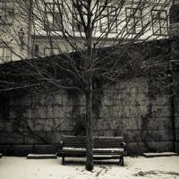 Photo Critique