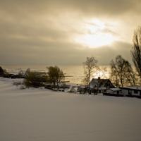 Photo Critique