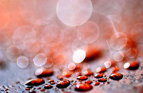 Beautiful Bokeh Photography Examples