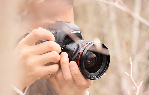 Beautiful Bokeh Photography Examples