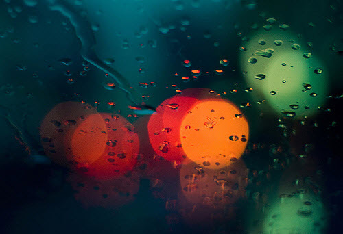 Beautiful Bokeh Photography Examples