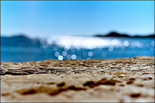 Beautiful Bokeh Photography Examples