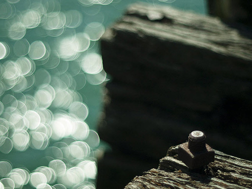 Beautiful Bokeh Photography Examples