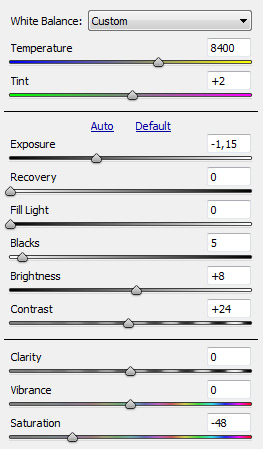 Camera Raw settings for new layer