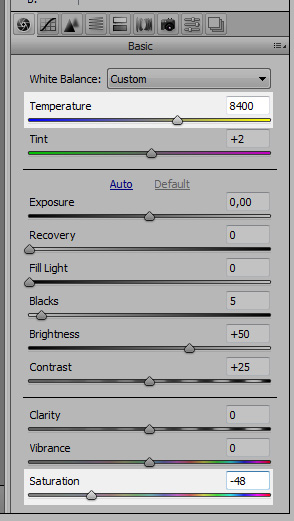 Temperature and saturation in Camera Raw